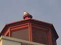 DSC02076.JPG