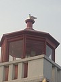 DSC02080.JPG