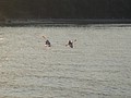 DSC02099.JPG