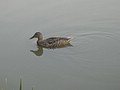 DSC02103.JPG