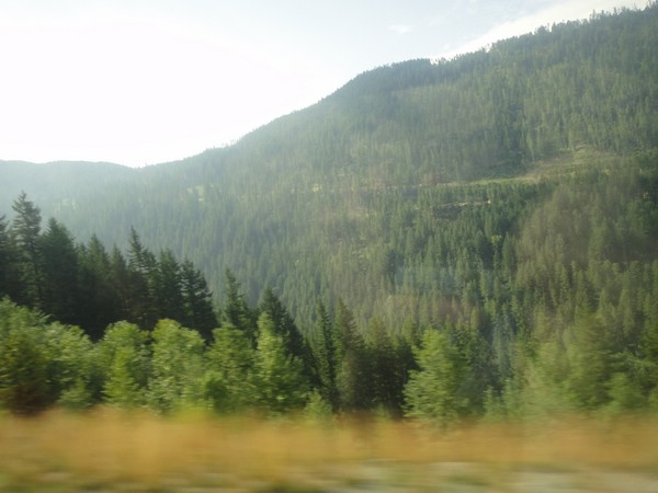 DSC02168.JPG