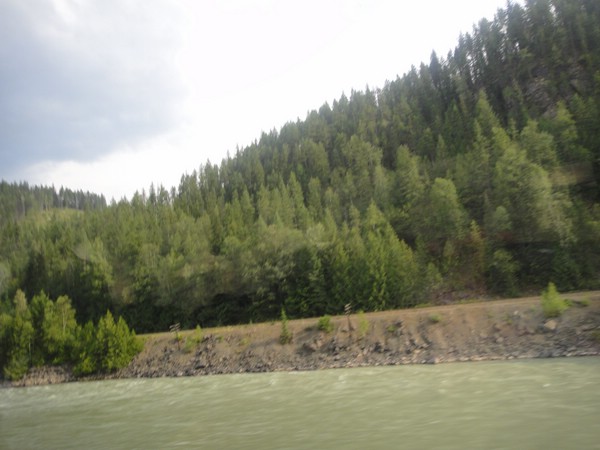 DSC02204.JPG