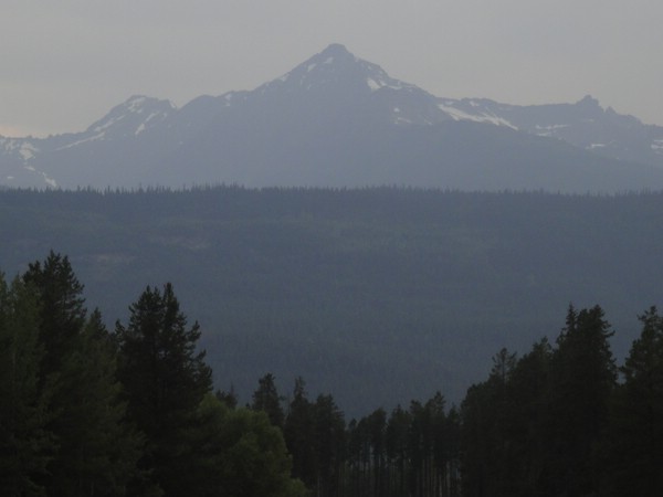 DSC02216.JPG
