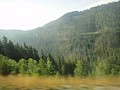 DSC02168.JPG