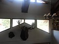 DSC02185.JPG