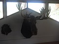 DSC02186.JPG