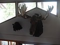 DSC02191.JPG