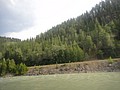 DSC02204.JPG