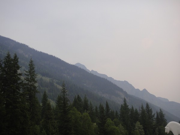 DSC02245.JPG