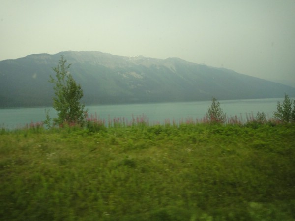 DSC02268.JPG