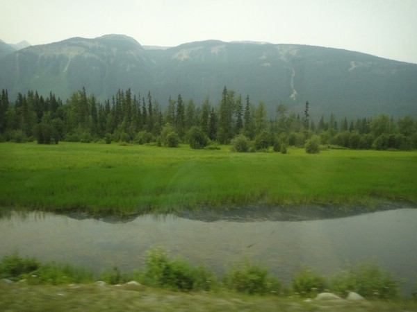 DSC02275.JPG