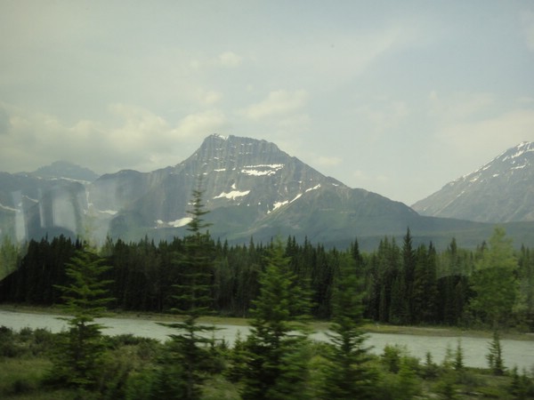 DSC02354.JPG