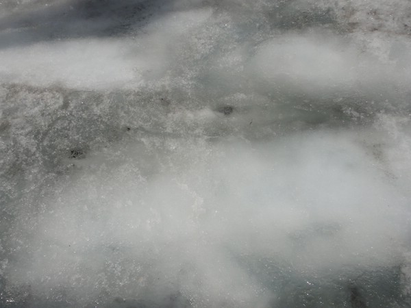 DSC02414.JPG