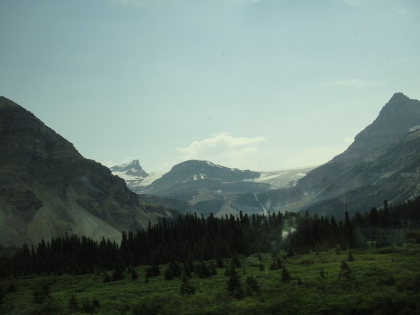 DSC02517.JPG
