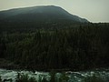 DSC02254.JPG