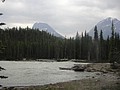 DSC02276.JPG