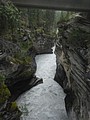 DSC02277.JPG