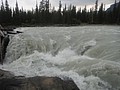 DSC02288.JPG