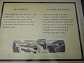 DSC02295.JPG