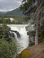 DSC02320.JPG