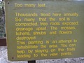 DSC02324.JPG