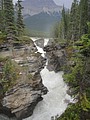 DSC02328.JPG