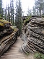 DSC02329.JPG