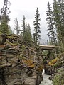 DSC02339.JPG