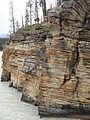DSC02343.JPG