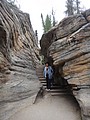 DSC02344.JPG