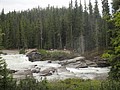 DSC02347.JPG