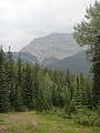 DSC02351.JPG