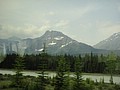 DSC02354.JPG