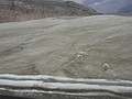 DSC02393.JPG
