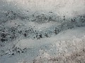DSC02427.JPG