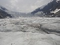 DSC02429.JPG