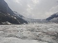 DSC02430.JPG