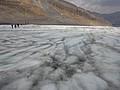 DSC02440.JPG