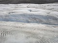 DSC02459.JPG