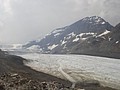 DSC02480.JPG