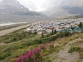 DSC02491.JPG