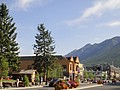 DSC02545.JPG