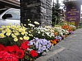 DSC02565.JPG