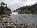 DSC02570.JPG