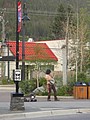 DSC02595.JPG