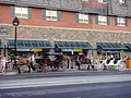 DSC02609.JPG