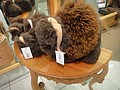 DSC02613.JPG