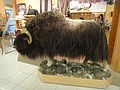 DSC02614.JPG
