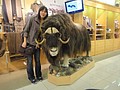 DSC02616.JPG