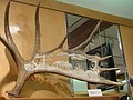 DSC02617.JPG